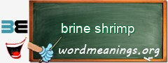WordMeaning blackboard for brine shrimp